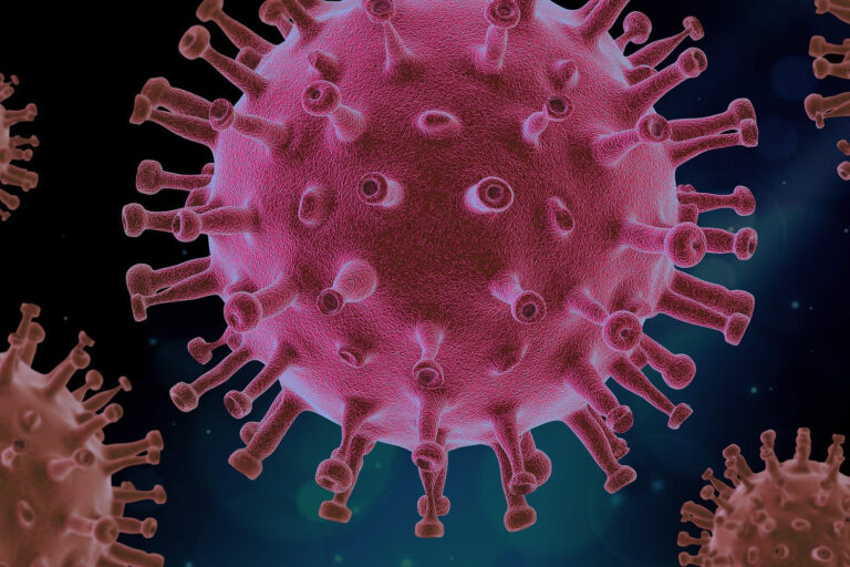 virus (enlarged)